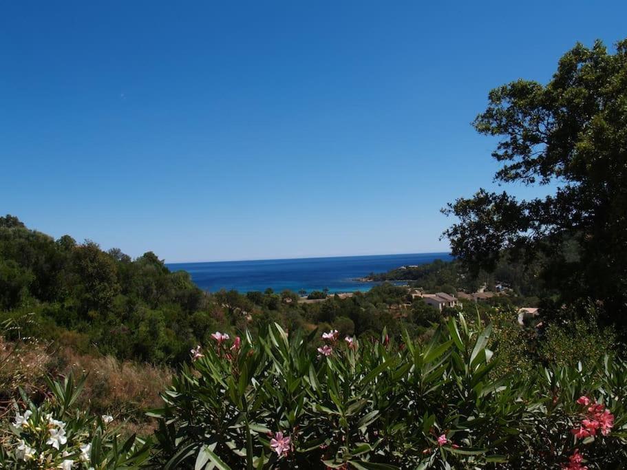 Villa Vista Mare 11 Favone Conca Eksteriør bilde