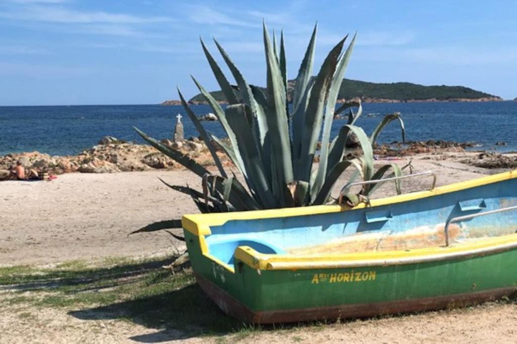 Villa Vista Mare 11 Favone Conca Eksteriør bilde