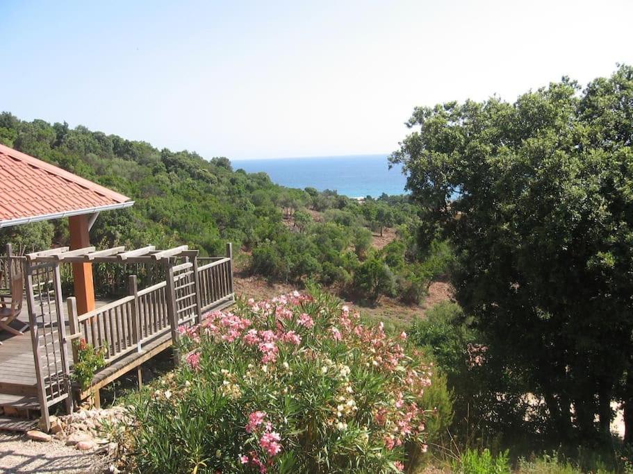 Villa Vista Mare 11 Favone Conca Eksteriør bilde